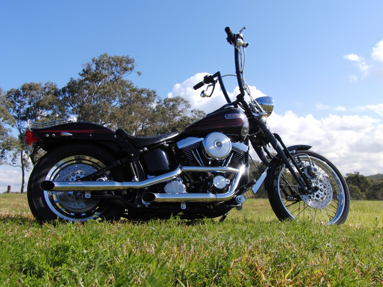 harley-davidson-softail-springer-1995-bad-boy-FXSTSB-evolution-1340-carlini-evil-apehangers-joker-machine-mirrors-psalmistice_CIMG2537