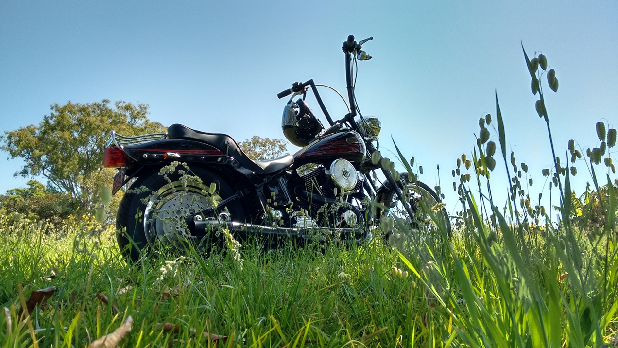 harley-davidson-softail-springer-1995-bad-boy-fxstsb-evolution-1340-carlini-evil-apehangers-lepera-le-pera-cherokee-seat-jeremiah-watt-slotted-concho-joker-machine-mirrors-thunderheader-HD-psalmistice_IMG_132549595_HDR