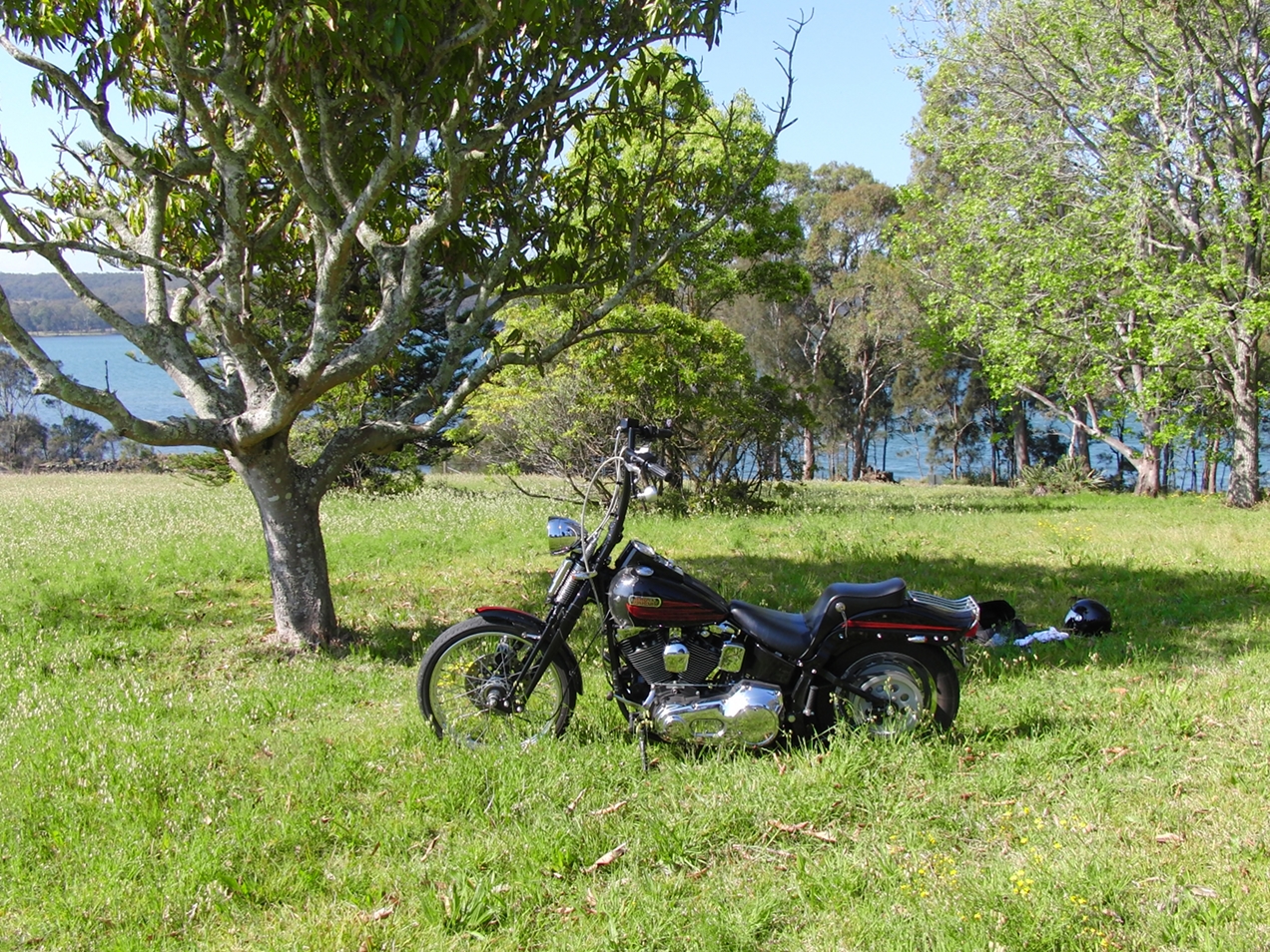 harley-davidson-softail-springer-1995-bad-boy-fxstsb-evolution-1340-carlini-evil-apehangers-lepera-le-pera-cherokee-seat-jeremiah-watt-slotted-concho-joker-machine-mirrors-thunderheader-HD-psalmistice_CIMG3953