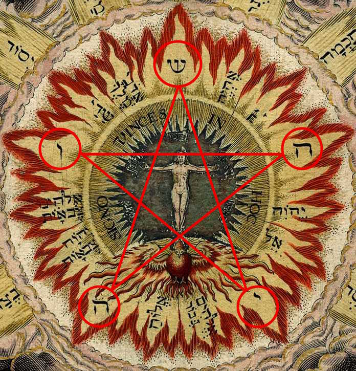 the_cosmic_rose_crop_696x725