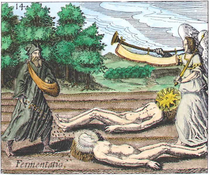 Engraving 14 from J.D. Mylius Philosophia reformata, Frankfurt, 1622