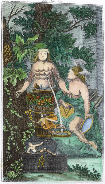 Engraving from Anonymus von Schwartzfuss, Das Blut der Natur, Frankfurt and Leipzig, 1767