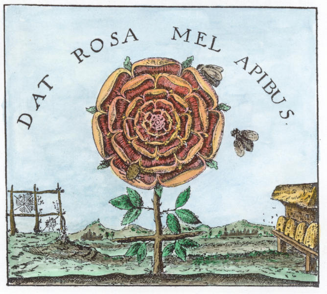 Engraving from Robert Fludd, Summum bonum, Frankfurt 1629