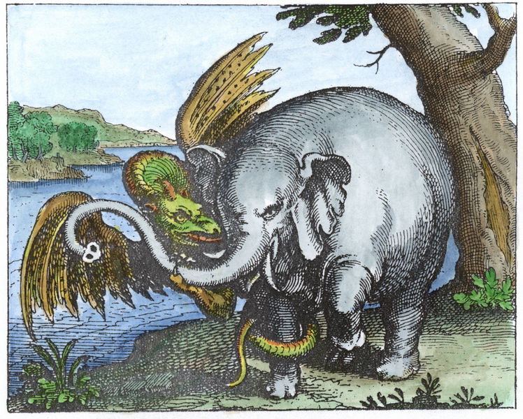 Michael Maier, Viatorium, Oppenheim, 1618, MV01