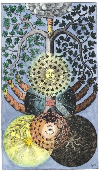 Tree of dark and light from Valentine Weigel Studium Universale, 1695