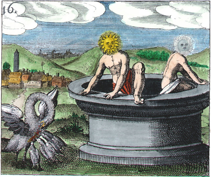 JD Mylius_Rosarium series_MR16