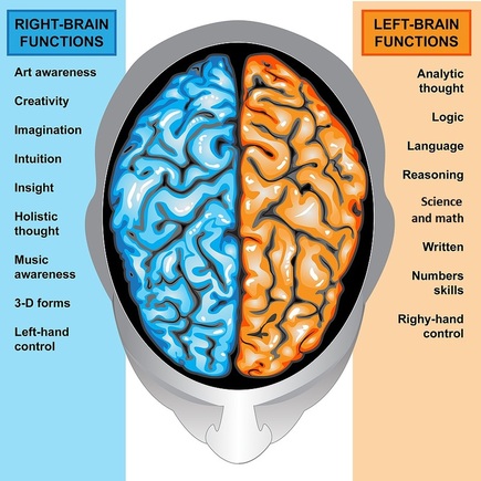 LR brain hemispheres