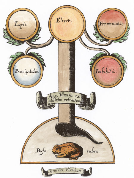 Samuel Norton, Alchymiæ Complementum et Perfectio, 1630_16